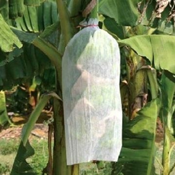 Non Woven Fruit Protection Cover
